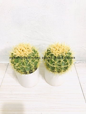 CÂY XƯƠNG RỒNG TRÒN NHỰA GIẢ TRANG TRÍ ( 22CM, 30CM,45CM)