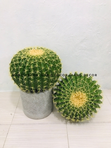 CÂY XƯƠNG RỒNG TRÒN NHỰA GIẢ TRANG TRÍ ( 22CM, 30CM,45CM)