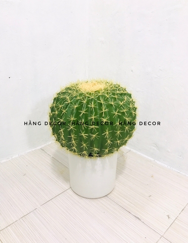CÂY XƯƠNG RỒNG TRÒN NHỰA GIẢ TRANG TRÍ ( 22CM, 30CM,45CM)