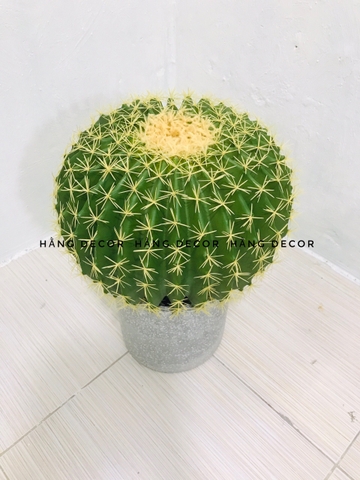 CÂY XƯƠNG RỒNG TRÒN NHỰA GIẢ TRANG TRÍ ( 22CM, 30CM,45CM)