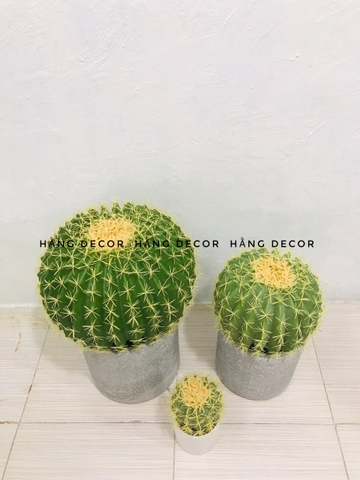 CÂY XƯƠNG RỒNG TRÒN NHỰA GIẢ TRANG TRÍ ( 22CM, 30CM,45CM)
