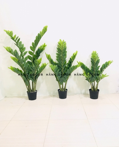 CÂY KIM TIỀN GIẢ TRANG TRÍ HẰNG DECOR (60CM, 90CM, 1M1)