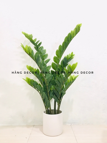 CÂY KIM TIỀN GIẢ TRANG TRÍ HẰNG DECOR (60CM, 90CM, 1M1)
