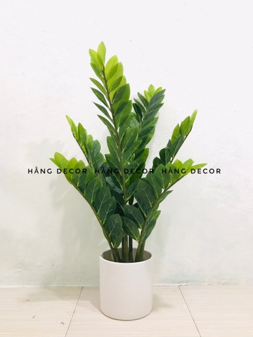 CÂY KIM TIỀN GIẢ TRANG TRÍ HẰNG DECOR (60CM, 90CM, 1M1)