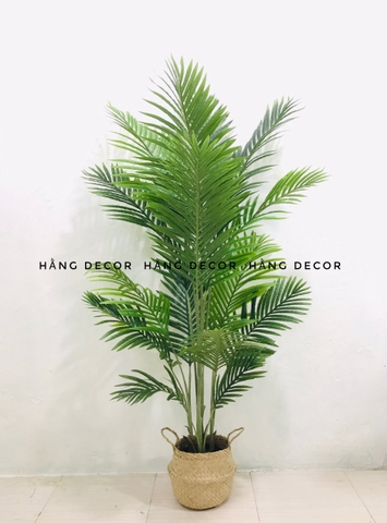 CÂY DỪA BỤI GIẢ TRANG TRÍ NHÀ HẰNG DECOR(1M1, 1M4, 1M6, 1M8)