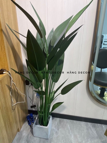 CÂY CHUỐI THIÊN ĐIỂU TRANG TRÍ HẰNG DECOR ( 1M1, 1M4, 1M6)