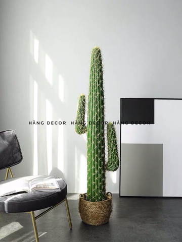 XƯƠNG RỒNG TRỤ GIẢ TRANG TRÍ (1M1, 1M4)