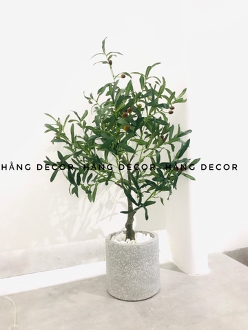 CÂY OLIU GIẢ TRANG HẰNG DECOR 85CM
