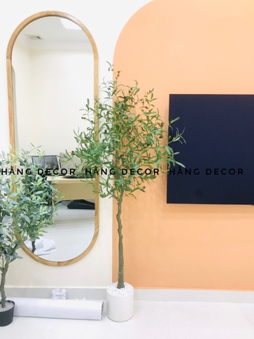 CÂY OLIU GIẢ TRANG TRÍ HẰNG DECOR 1M65