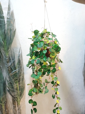 GIỎ CÂY RỦ GIẢ TRANG TRÍ 70CM