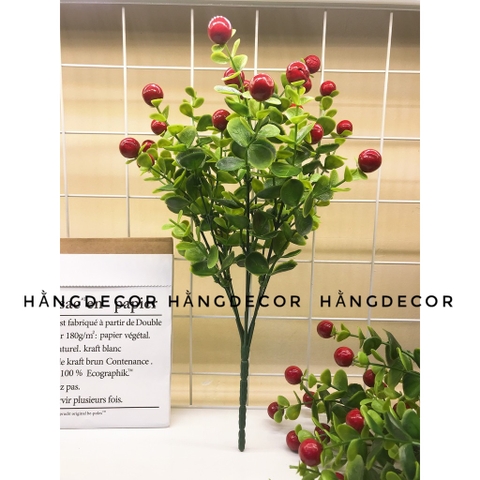 CHẬU SƠ RI ĐỎ ĐẶT BÀN TRANG TRÍ 30CM
