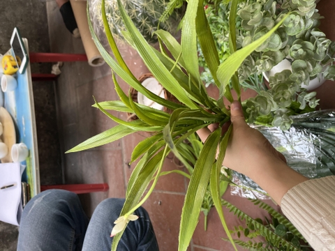 CÂY DỨA HOA GIẢ TRANG TRÍ 40CM