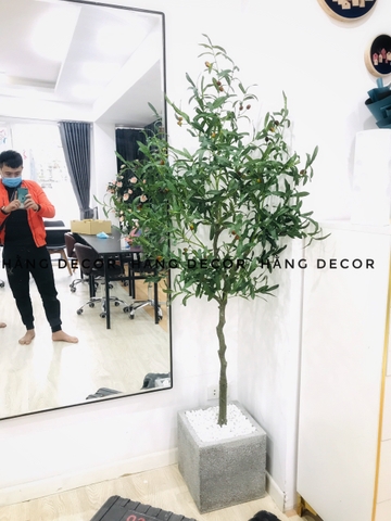 CÂY OLIU GIẢ TRANG TRÍ HẰNG DECOR 1M65