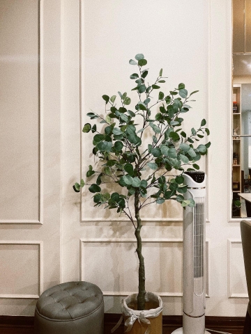 CÂY BẠCH ĐÀN GIẢ TRANG TRÍ NỘI THẤT HẰNG DECOR( 165CM)