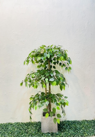 CÂY XI XANH GIẢ TRANG TRÍ HẰNG DECOR 1M3