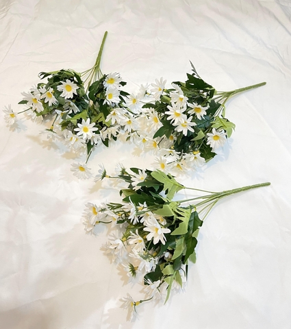 CHẬU HOA CÚC HỌA MI ĐẶT BÀN 30CM