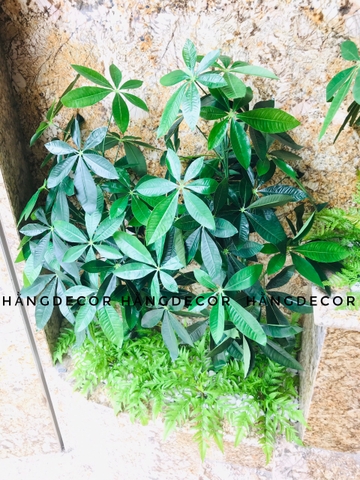 CÂY KIM NGÂN NHỰA TRANG TRÍ NỘI THẤT HẰNG DECOR 80CM
