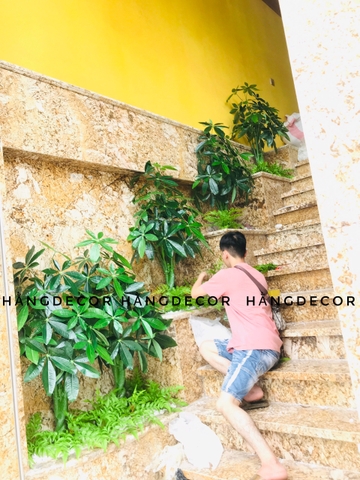 CÂY KIM NGÂN NHỰA TRANG TRÍ NỘI THẤT HẰNG DECOR 80CM