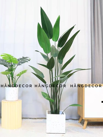 CÂY CHUỐI THIÊN ĐIỂU TRANG TRÍ HẰNG DECOR ( 1M1, 1M4, 1M6)