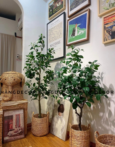 CÂY LÁ CHANH XANH GIẢ ( 1M2-1M3-1M6)
