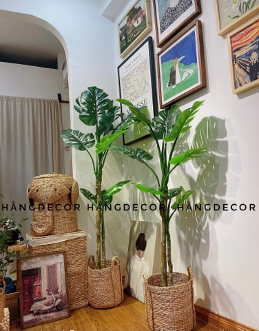 CÂY TRẦU BÀ NAM MỸ GIẢ TRANG TRÍ(1M4, 1M6, 1M9)