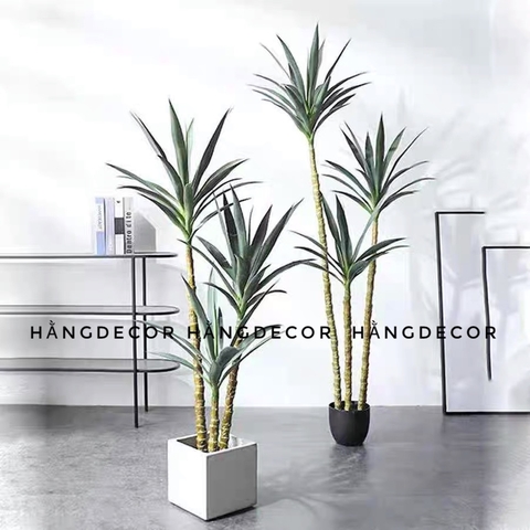 CÂY PHÁT TÀI NÚI GIẢ TRANG TRÍ HẰNG DECOR (1M ,1M2,1M4,1M6,1M8)
