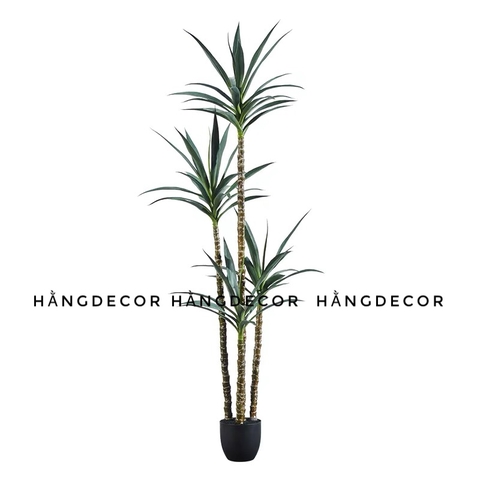 CÂY PHÁT TÀI NÚI GIẢ TRANG TRÍ HẰNG DECOR (1M ,1M2,1M4,1M6,1M8)