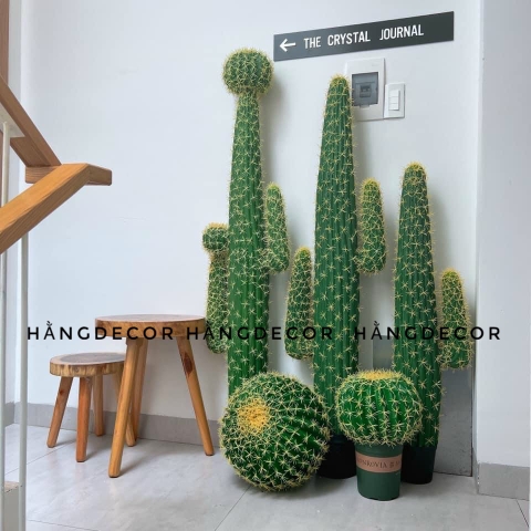 CÂY XƯƠNG RỒNG NHỰA CÓ HOA GIẢ (1M2, 1M53)