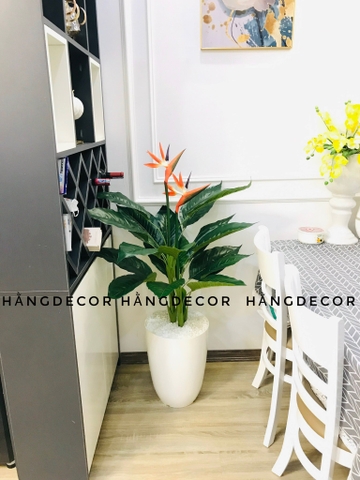 CÂY HOA THIÊN ĐIỂU 1M HẰNG DECOR