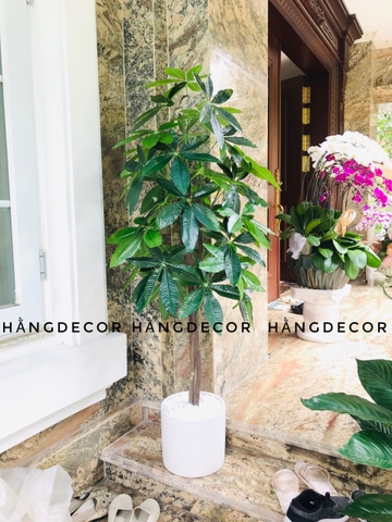 CÂY KIM NGÂN GIẢ TRANG TRÍ NHÀ ĐẸP HẰNG DECOR(1M5)