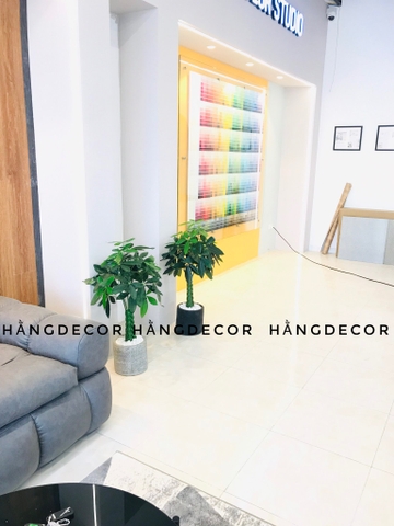CÂY KIM NGÂN NHỰA TRANG TRÍ NỘI THẤT HẰNG DECOR 80CM