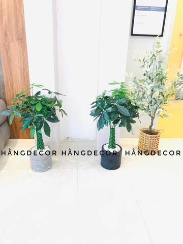 CÂY KIM NGÂN NHỰA TRANG TRÍ NỘI THẤT HẰNG DECOR 80CM