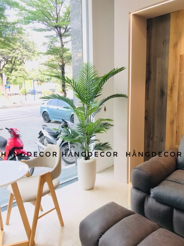 CÂY DỪA BỤI GIẢ TRANG TRÍ NHÀ HẰNG DECOR(1M1, 1M4, 1M6, 1M8)