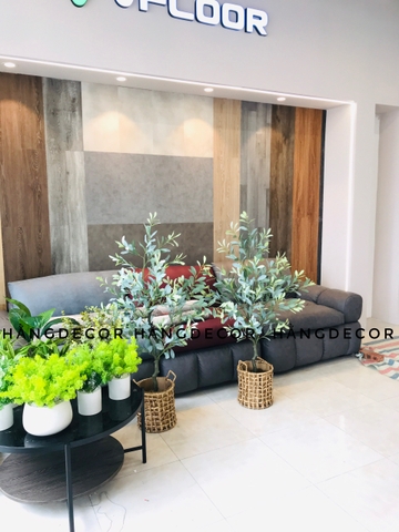 CHẬU DONG XANG GIẢ ĐẶT BÀN 30cm
