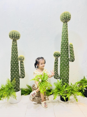 CÂY XƯƠNG RỒNG NHỰA CÓ HOA GIẢ (1M2, 1M53)