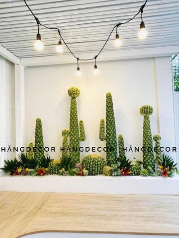 CÂY XƯƠNG RỒNG NHỰA CÓ HOA GIẢ (1M2, 1M53)
