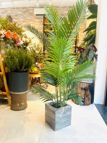CÂY DỪA BỤI GIẢ TRANG TRÍ NHÀ HẰNG DECOR(1M1, 1M4, 1M6, 1M8)
