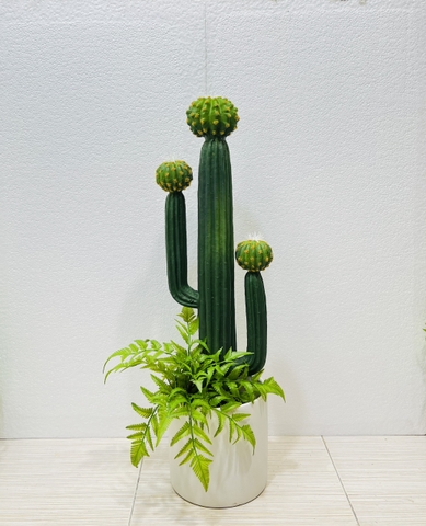 CÂY XƯƠNG RỒNG NHỰA GIẢ( 65CM, 70CM, 75CM)