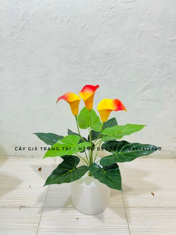 CÂY HOA RUM TRANG TRÍ 50CM
