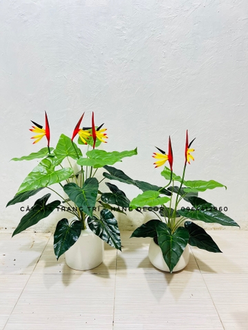 CÂY HOA THIÊN ĐIỂU GIẢ 60CM-70CM