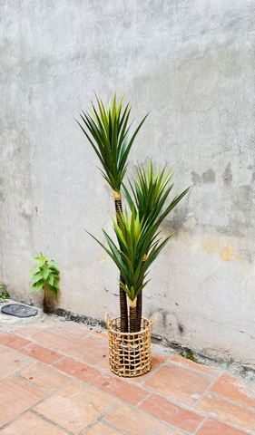 CÂY PHÁT TÀI NÚI GIẢ HẰNG DECOR 1M-1M5