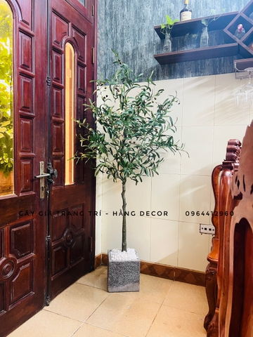 CÂY OLIU GIẢ TRANG TRÍ HẰNG DECOR 1M65