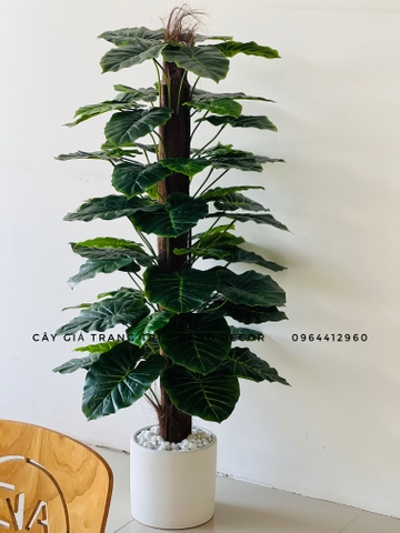 CÂY TRẦU BÀ CỘT HẰNG DECOR  63 LÁ (1M5)