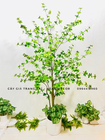 CÂY THẠCH NAM 2 THÂN NHỰA GIẢ TRANG TRÍ HẰNG DECOR(1M7)