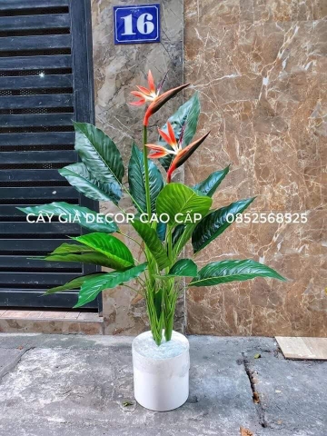 CÂY HOA THIÊN ĐIỂU 1M HẰNG DECOR