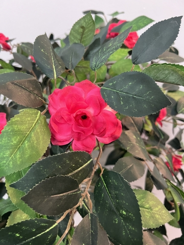 CÂY HOA ĐỖ QUYÊN GIẢ TRANG TRÍ HẰNG DECOR