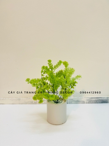 CHẬU DONG XANG GIẢ ĐẶT BÀN 30cm