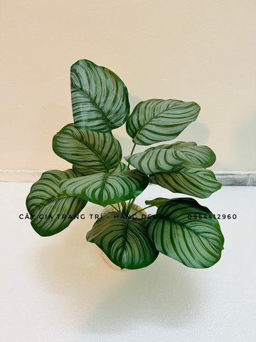 CHẬU ĐUÔI CÔNG GIẢ ĐẶT BÀN TRANG TRÍ 45CM