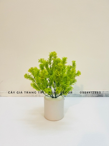 CHẬU DONG XANG GIẢ ĐẶT BÀN 30cm