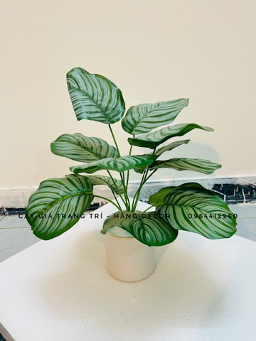 CHẬU ĐUÔI CÔNG GIẢ ĐẶT BÀN TRANG TRÍ 45CM